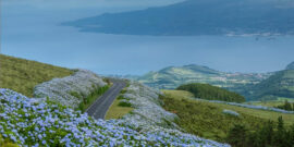 5 meest schilderachtige wegen op de Azoren die je kunt gebruiken voor de beste lange ritten