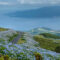 5 meest schilderachtige wegen op de Azoren die je kunt gebruiken voor de beste lange ritten